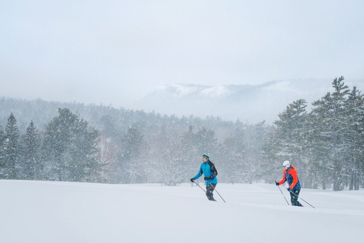 Cross country skiing - MEDC