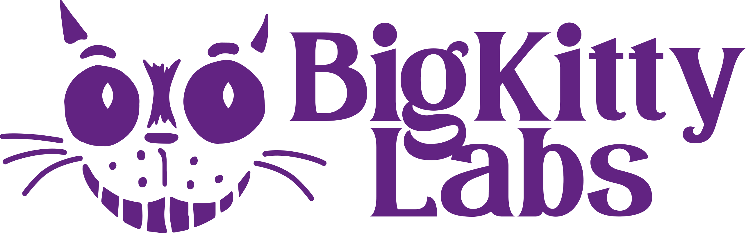 big kitty horizontal logo 2