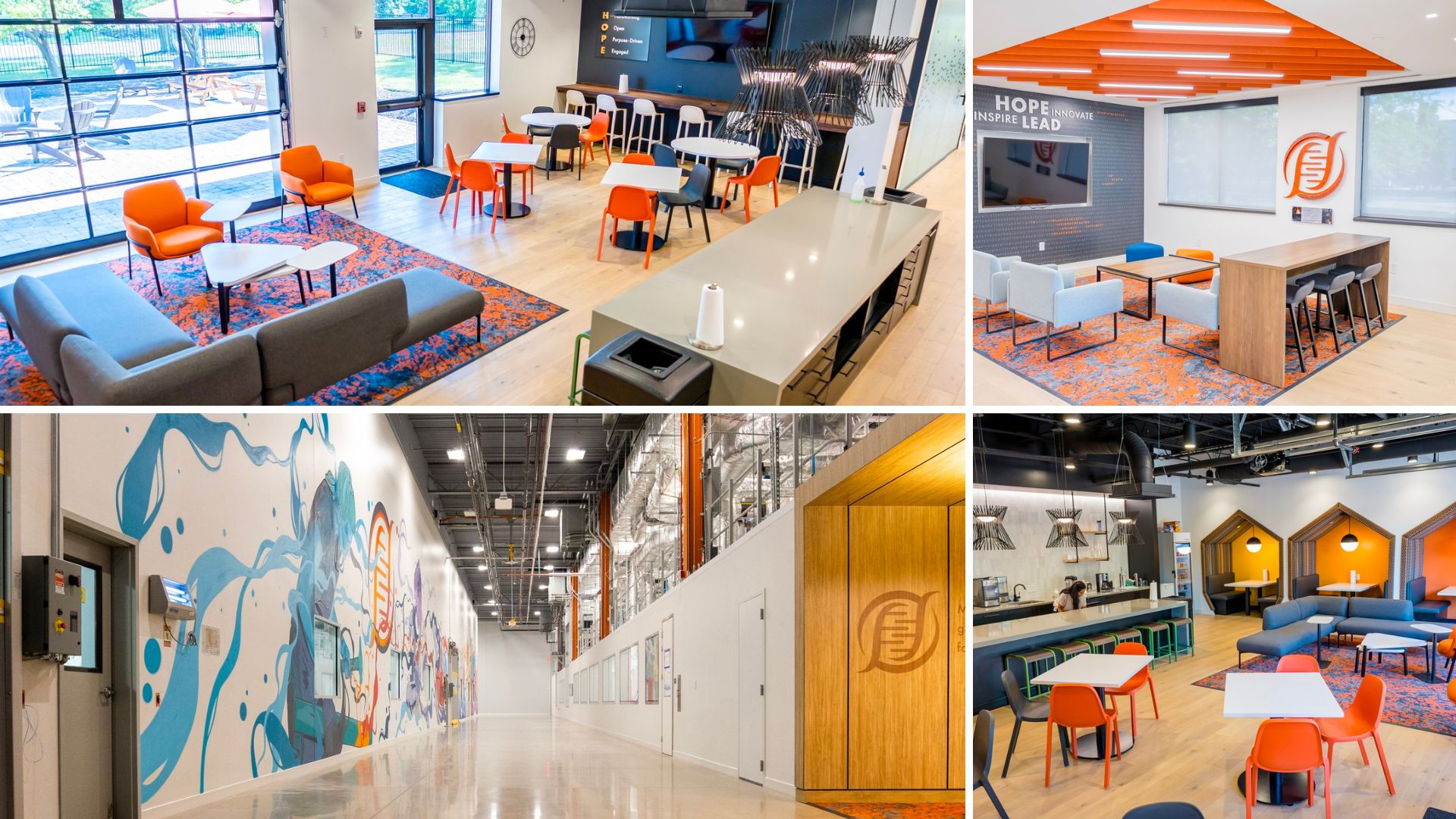 coolest offices - forge biologics