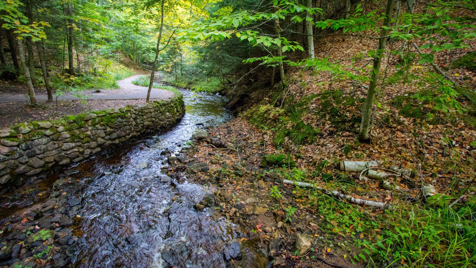 summer fridays in michigan - hike